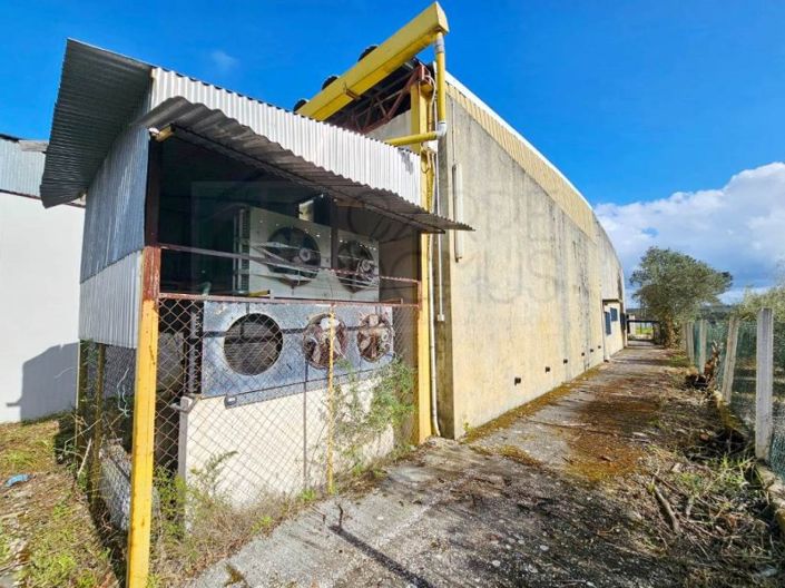 Image No.66-Propriété à vendre à Chamusca