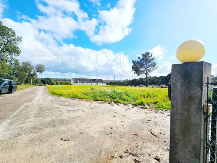 Image No.69-Propriété à vendre à Chamusca