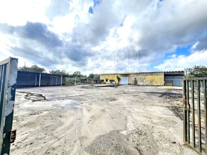 Image No.7-Propriété à vendre à Chamusca