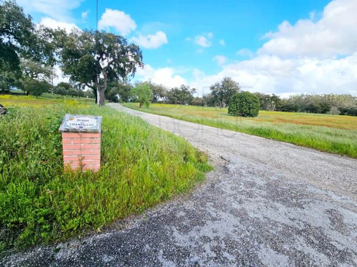 Image No.71-Propriété à vendre à Chamusca