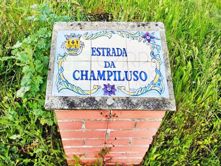 Image No.72-Propriété à vendre à Chamusca