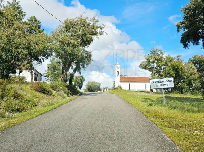 Image No.73-Propriété à vendre à Chamusca