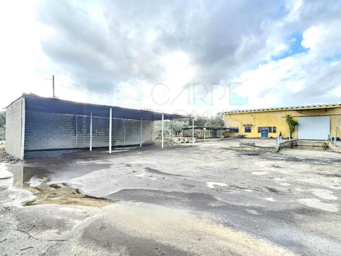 Image No.8-Propriété à vendre à Chamusca