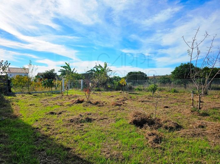 Image No.41-4 Bed House for sale