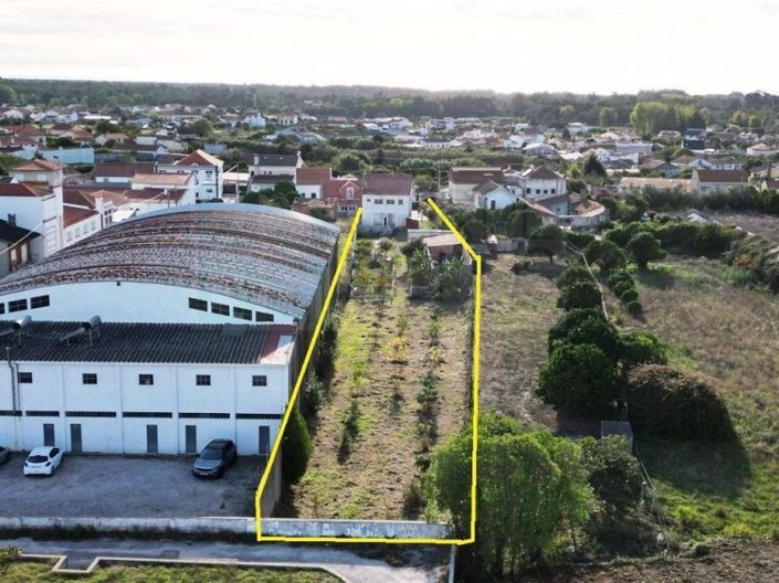 Image No.43-4 Bed House for sale