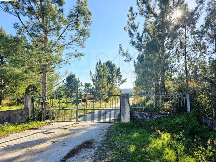 Image No.16-Terrain à vendre à Pombal