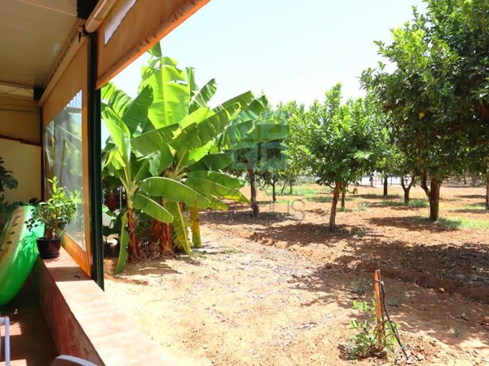 Image No.39-4 Bed House for sale