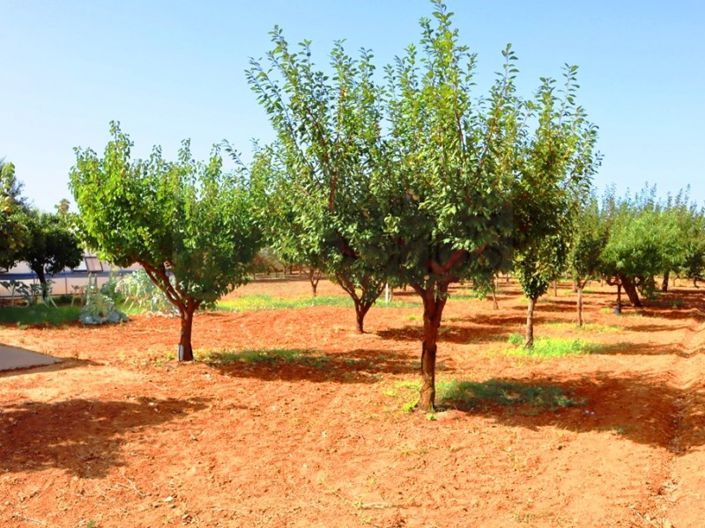 Image No.44-4 Bed Farmhouse for sale