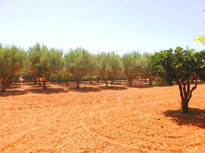 Image No.45-4 Bed Farmhouse for sale