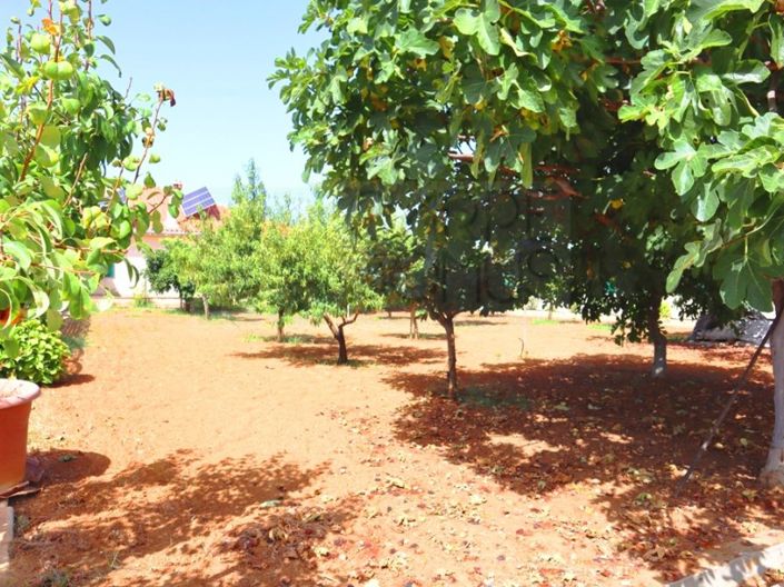 Image No.46-4 Bed Farmhouse for sale