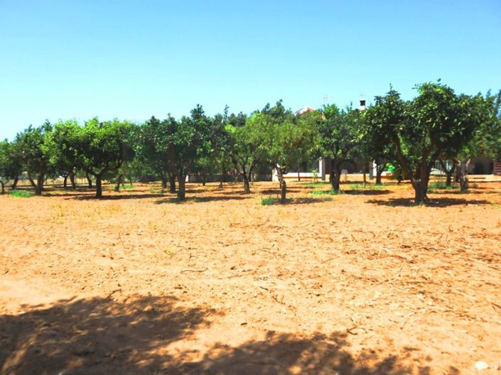 Image No.49-4 Bed Farmhouse for sale