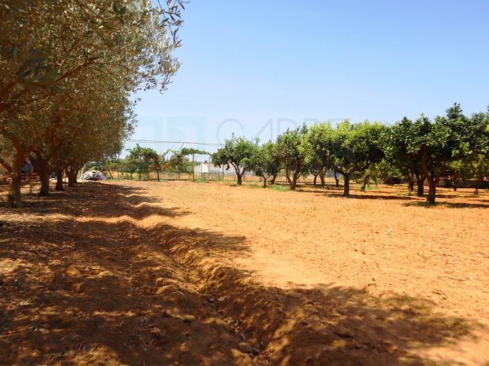 Image No.50-4 Bed Farmhouse for sale