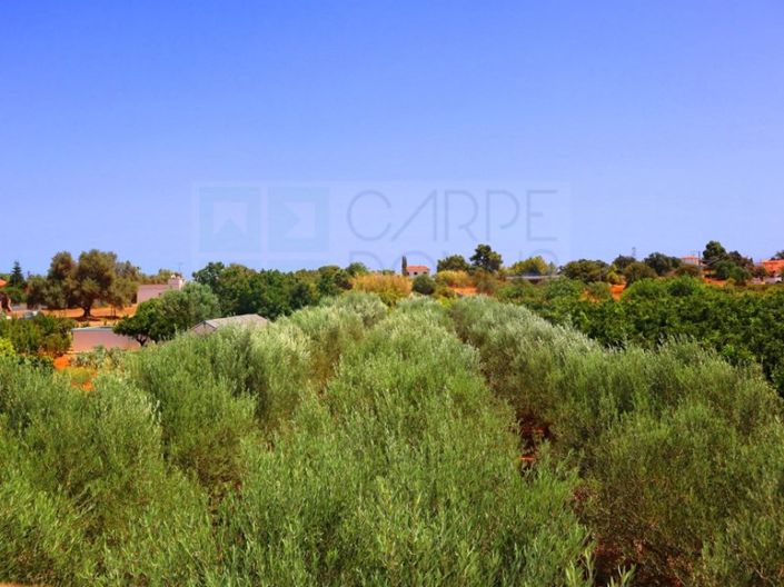 Image No.53-4 Bed Farmhouse for sale