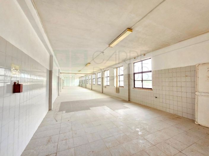 Image No.14-Propriété à vendre à Torres Novas