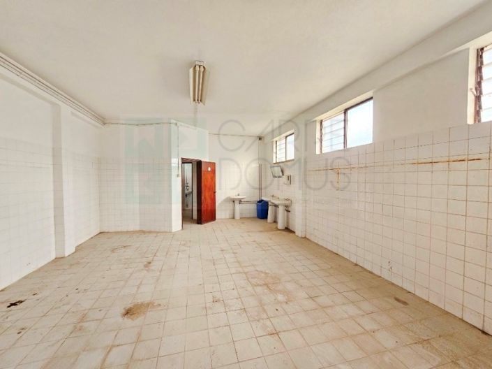 Image No.21-Propriété à vendre à Torres Novas