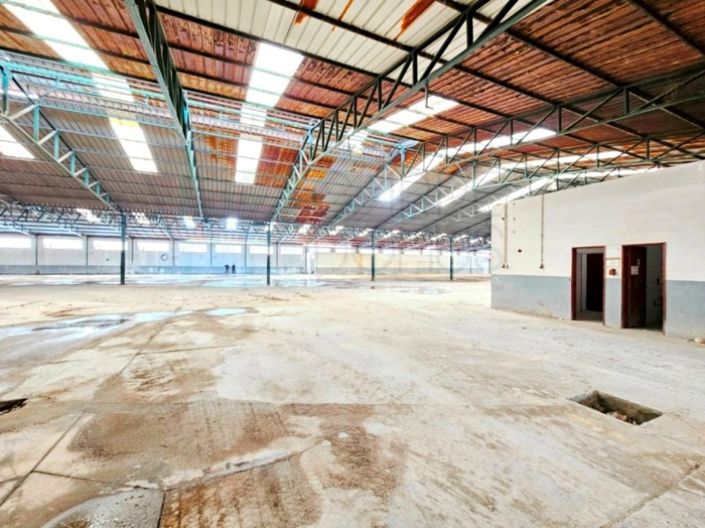 Image No.23-Propriété à vendre à Torres Novas