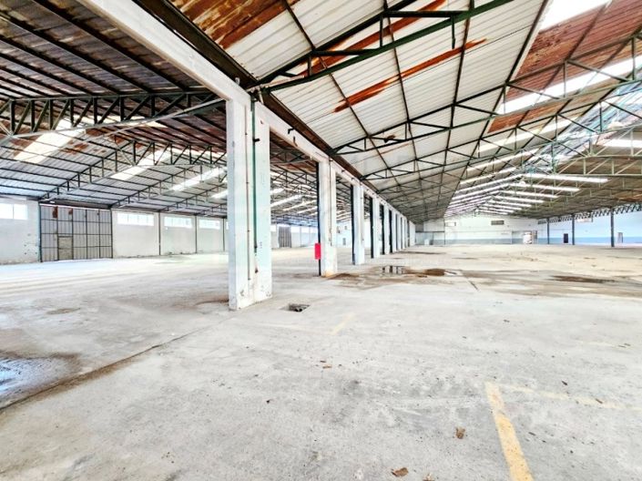 Image No.24-Propriété à vendre à Torres Novas