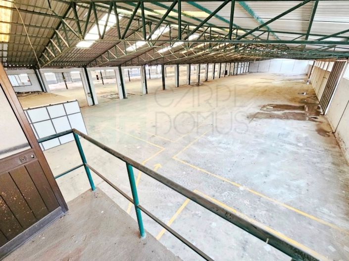 Image No.41-Propriété à vendre à Torres Novas