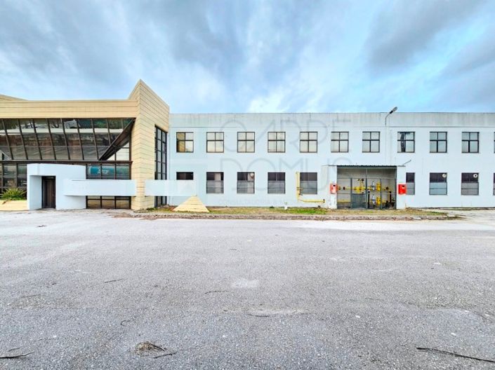 Image No.53-Propriété à vendre à Torres Novas