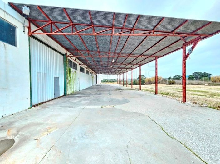 Image No.56-Propriété à vendre à Torres Novas