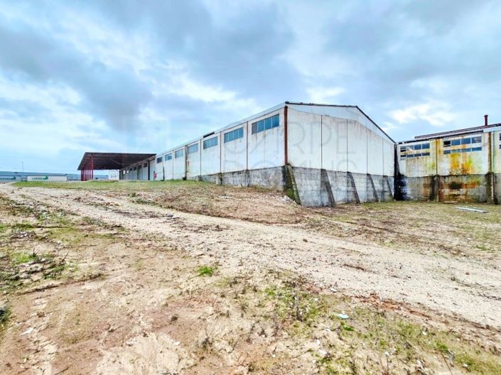 Image No.58-Propriété à vendre à Torres Novas