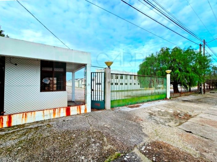 Image No.7-Propriété à vendre à Torres Novas