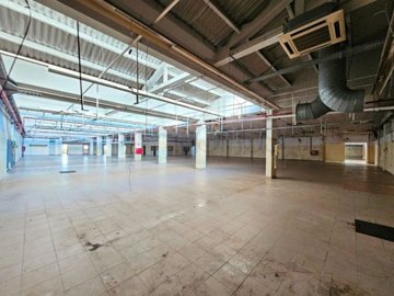 id1e26c101-0000-0500-0000-0000187f3966