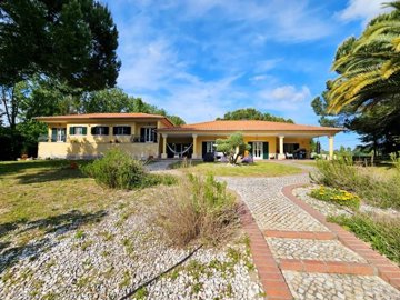 1 - Benavente, House