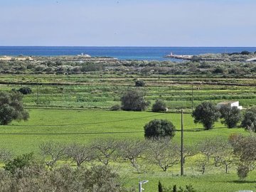 id2af5c201-0000-0500-0000-000018a98d67