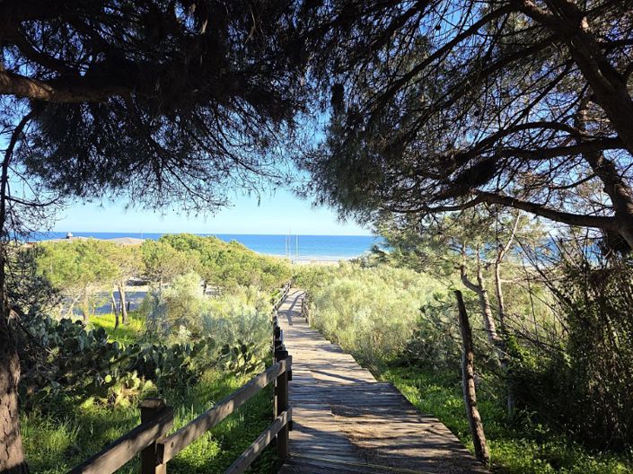 Image No.13-Maison de 2 chambres à vendre à Castro Marim