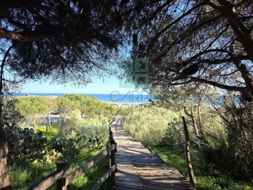 idce24c401-0000-0500-0000-000018e31105