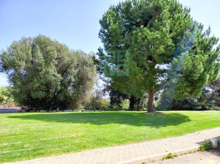 Image No.8-3 Bed Apartment for sale