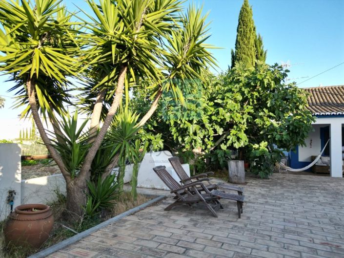 Image No.29-3 Bed House for sale