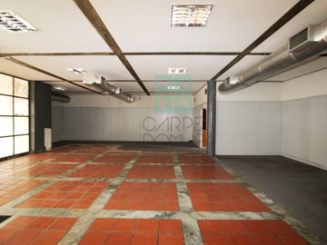 id86473501-0000-0500-0000-00000d5f6b36