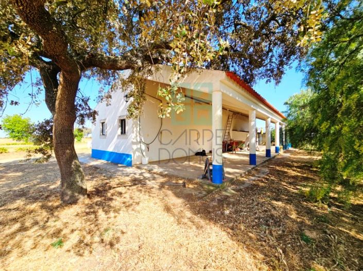 Image No.28-5 Bed House for sale