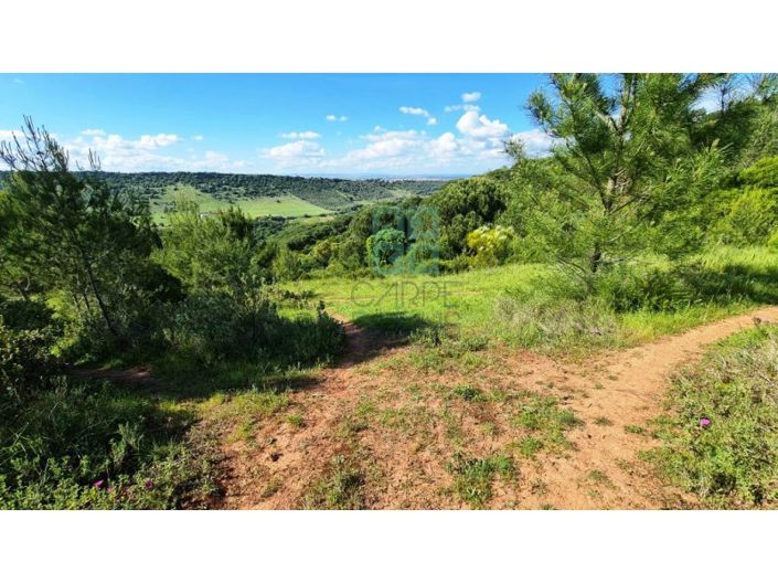 Image No.30-Plot for sale