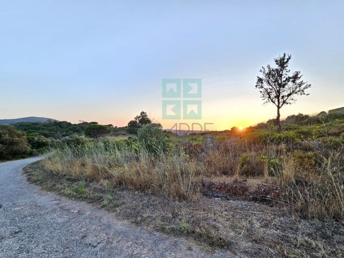 Image No.49-Plot for sale