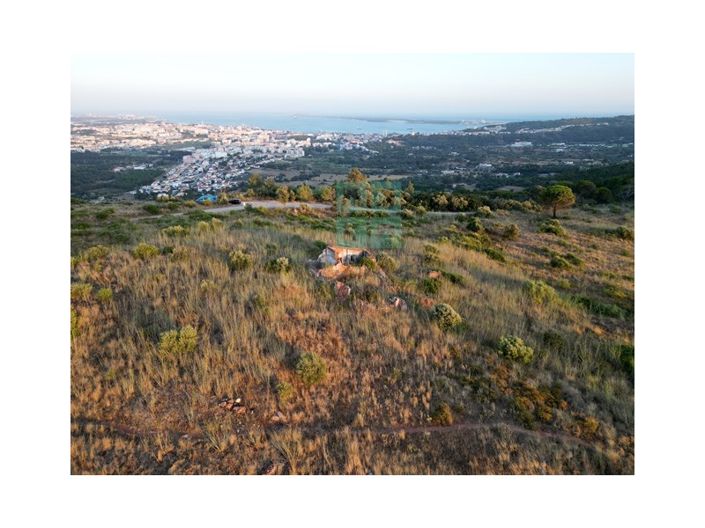 Image No.50-Plot for sale