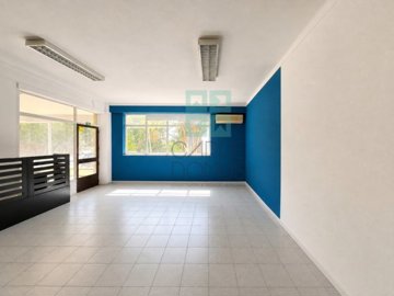 1 - Figueira da Foz, Commercial