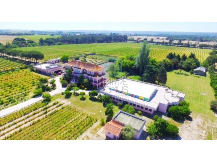 Image No.12-Ferme de 10 chambres à vendre à Palmela