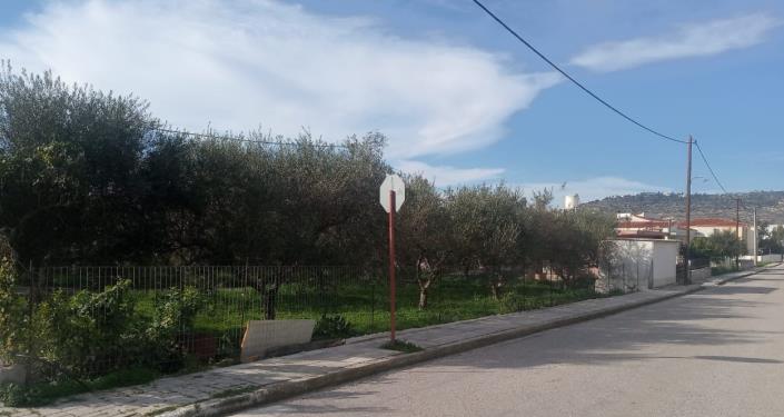 Image No.2-Plot for sale