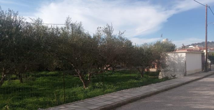 Image No.3-Plot for sale