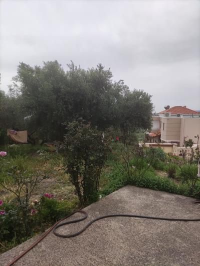 Image No.17-3 Bed Country House for sale