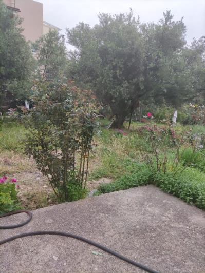 Image No.20-3 Bed Country House for sale