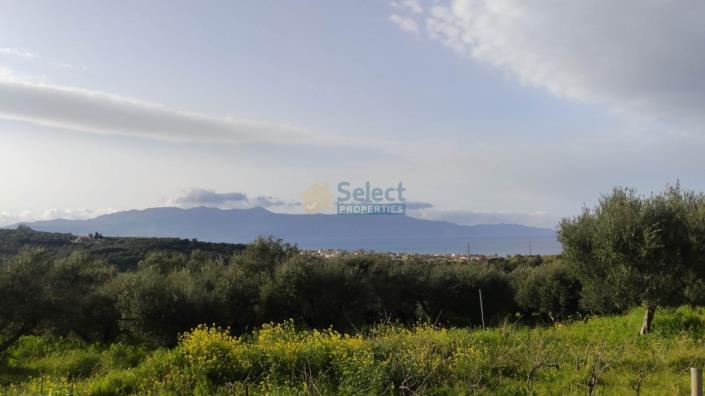 Image No.1-Land for sale
