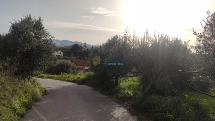 Image No.2-Land for sale