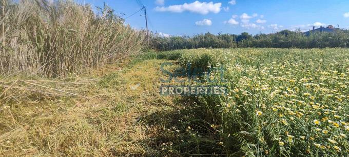 Image No.1-Plot for sale