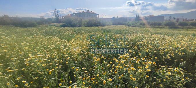 Image No.3-Plot for sale