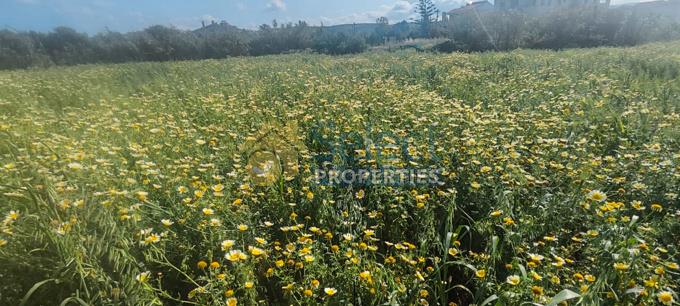 Image No.4-Plot for sale