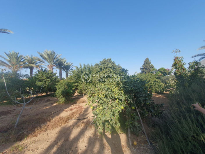 Image No.21-3 Bed Villa for sale